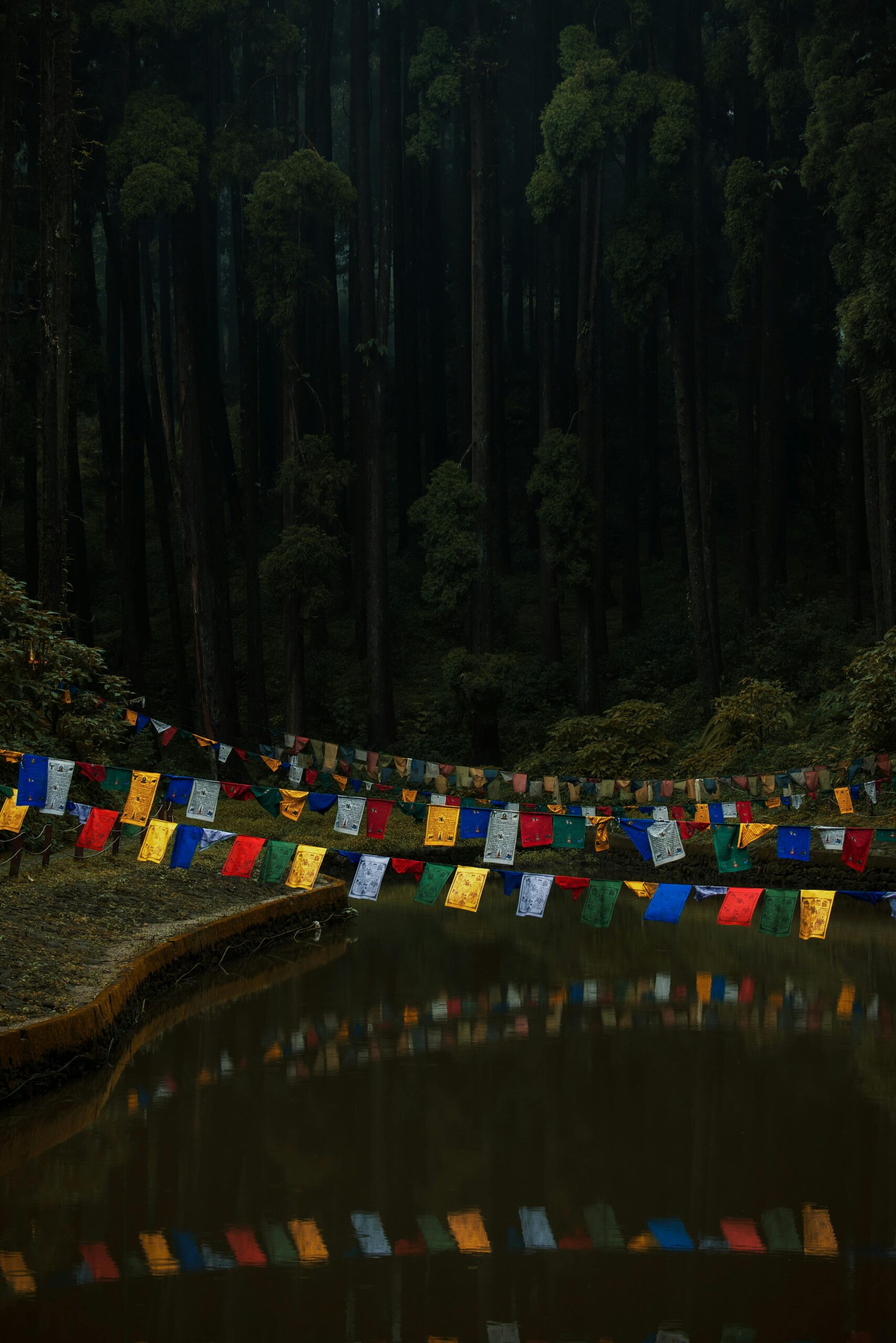 Darjeeling Local Sightseeing Guide (2026)