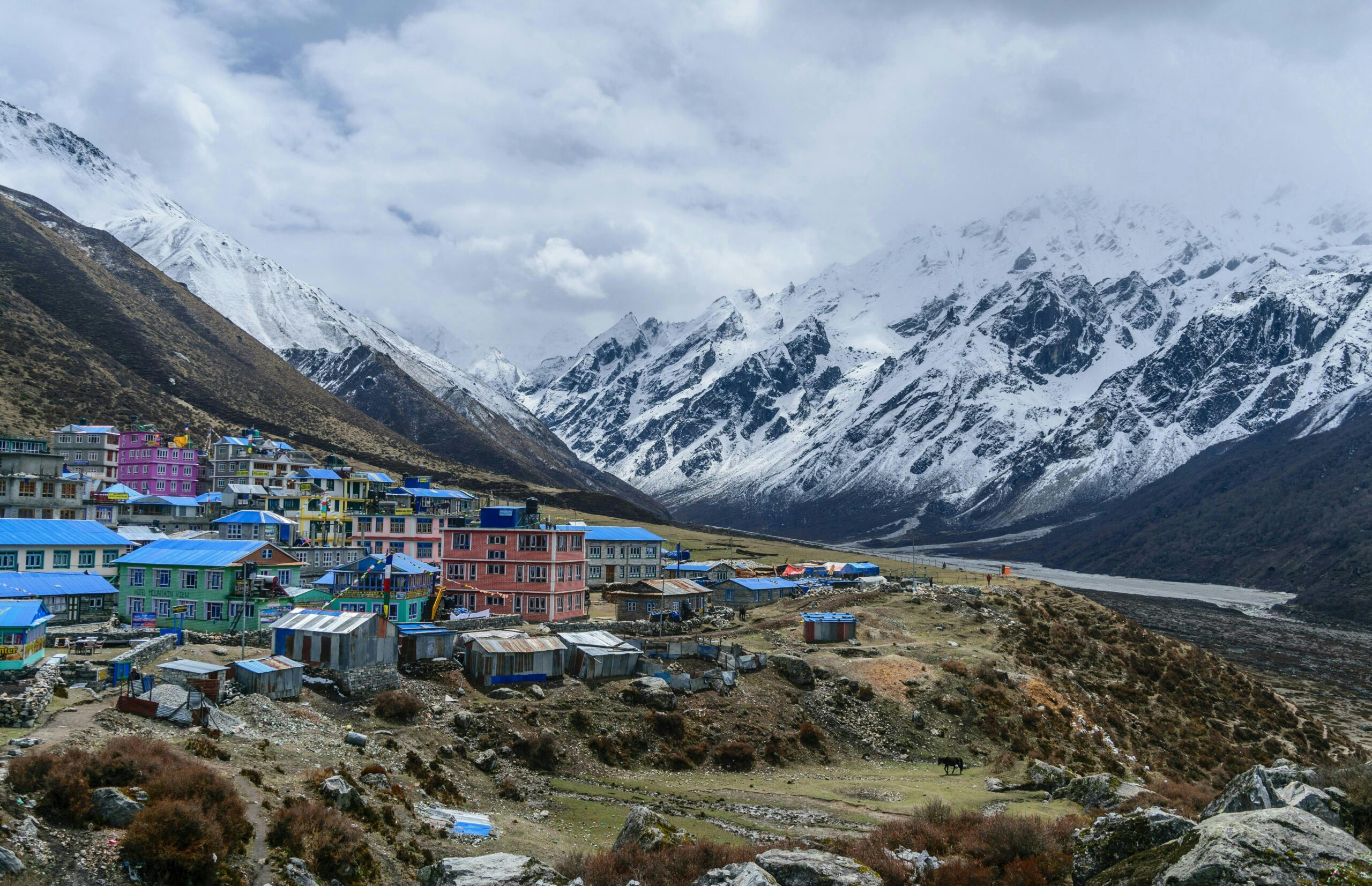 Best Time to Visit Sikkim (2026 Guide)