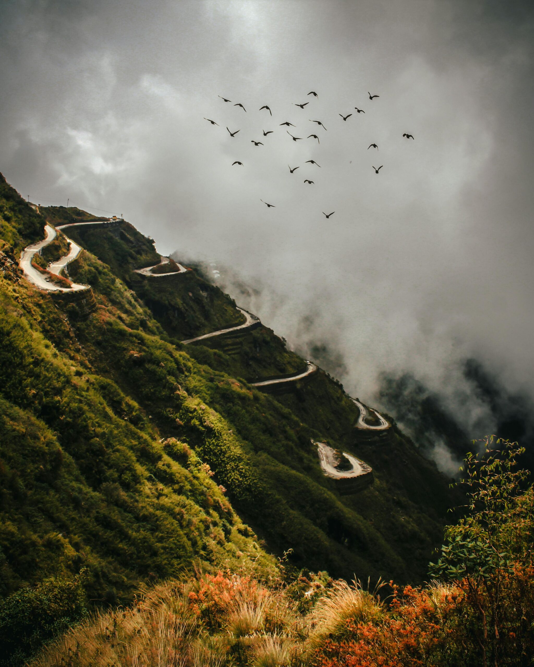 Why You Need a Permit for Nathula Pass