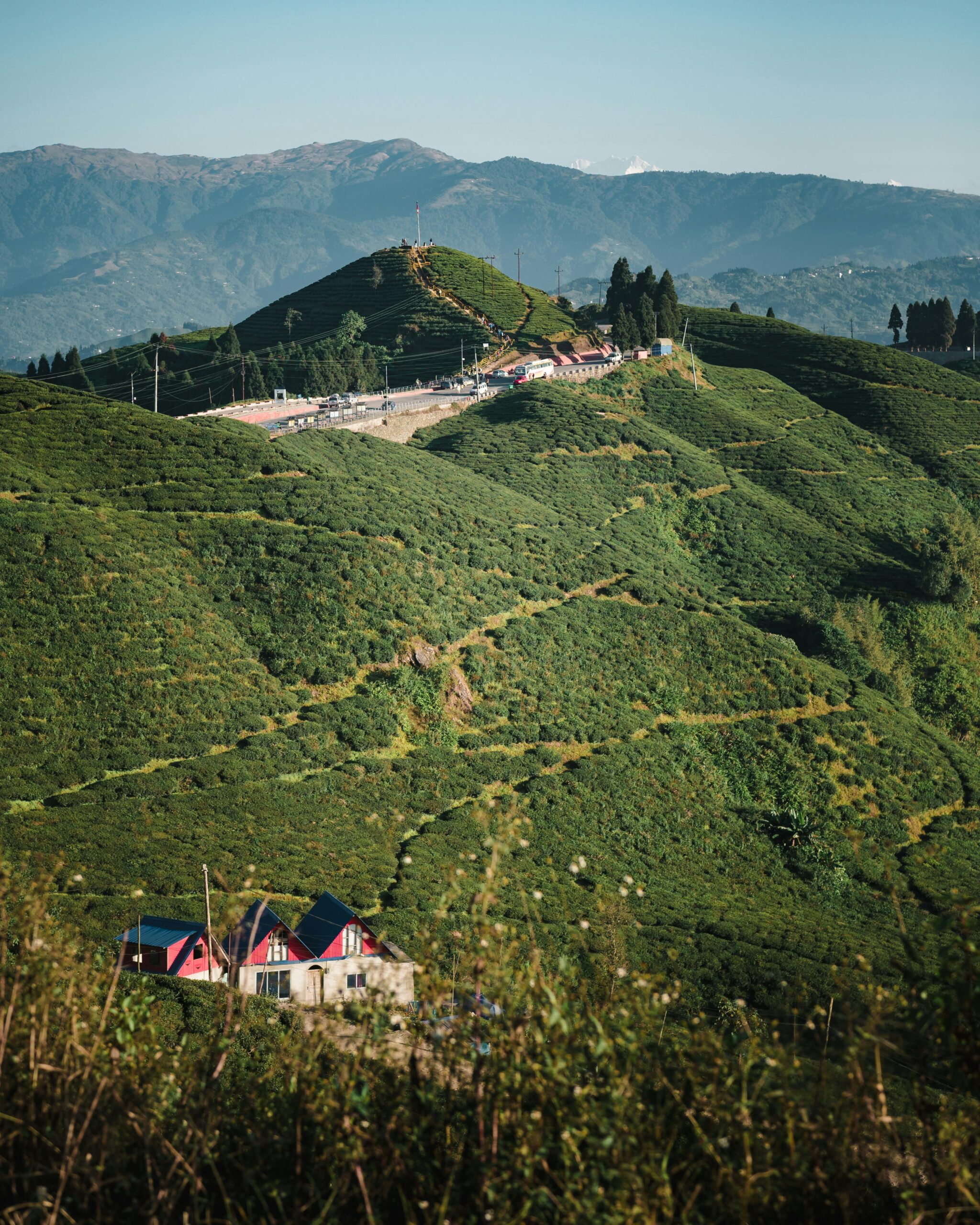 Darjeeling Trip Cost | Budget & Travel Expense Guide 2026