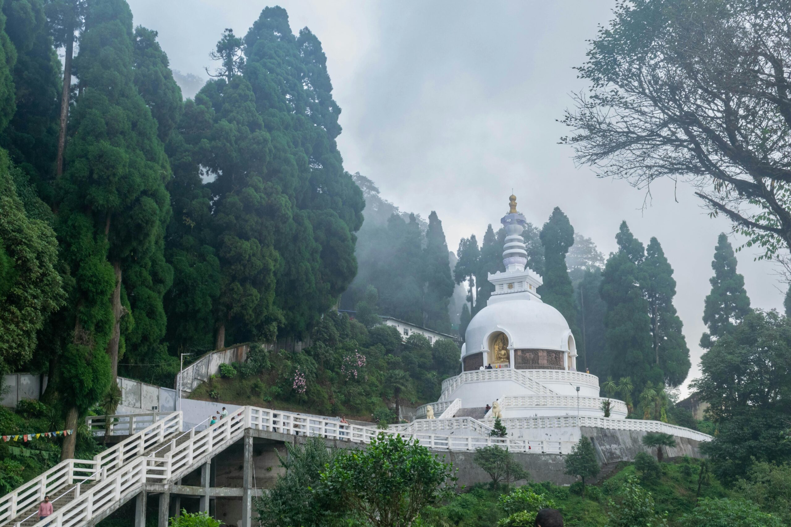 Darjeeling Trip Cost (2026)